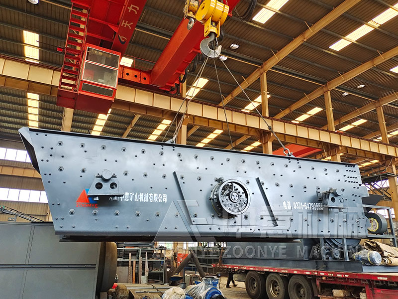 礦物垃圾分選處理成套設(shè)備振動篩實地工廠圖片